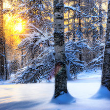 Зимнее утро