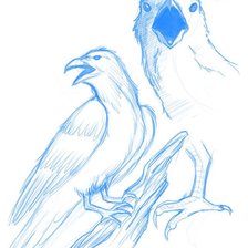 Схема вышивки «Ворон рисунок карандашный»