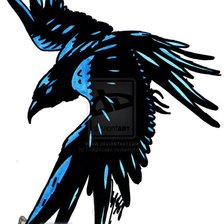 Схема вышивки «Ворон черно-белый»