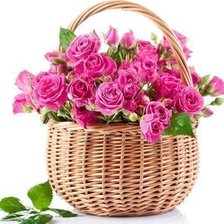 Схема вышивки «№547604»