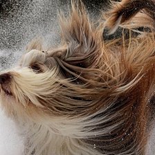 Схема вышивки «№547615»