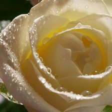 Схема вышивки «№547620»