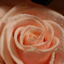 Схема вышивки «№547622»