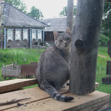 Схема вышивки «Моя деревня»