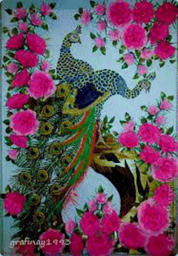 Павлины - предпросмотр