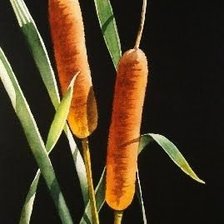 Схема вышивки «акварель»