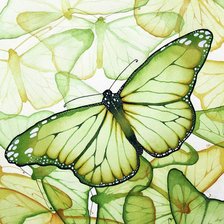 Схема вышивки «бабочка»