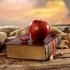 Схема вышивки «Яблочко»