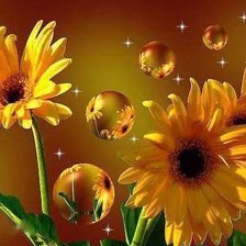 Схема вышивки «virágcsendélet»