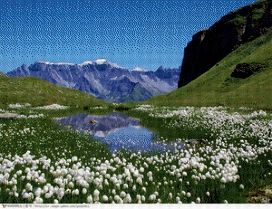 Альпы. - альпы, озеро, горы, цветы - предпросмотр