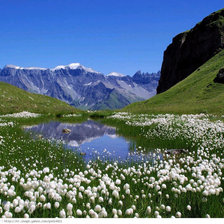 Схема вышивки «Альпы.»