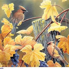 Схема вышивки «№548210»