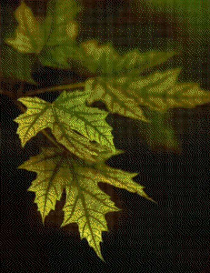 №548320 - листья - предпросмотр