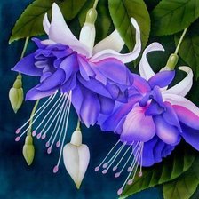 Схема вышивки «цветы на подушку черный фон»