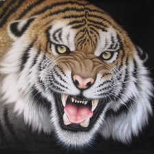 Схема вышивки «Тигр»