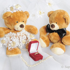 Жених и невеста