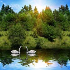 Схема вышивки «Лебеди на пруду»