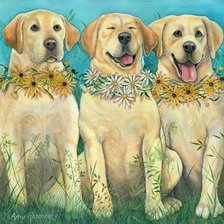 Схема вышивки «домашние любимцы»