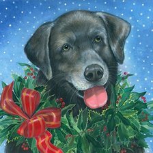 Схема вышивки «домашние любимцы»