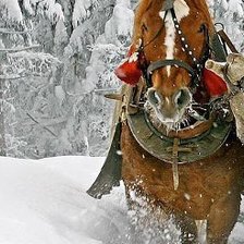 Схема вышивки «Парочка лошадей в упряжке часть 1»