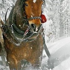 Схема вышивки «Парочка лошадей в упряжке часть 2»