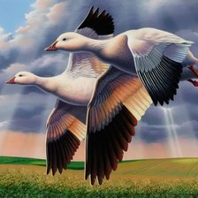 Схема вышивки «Пара уток»