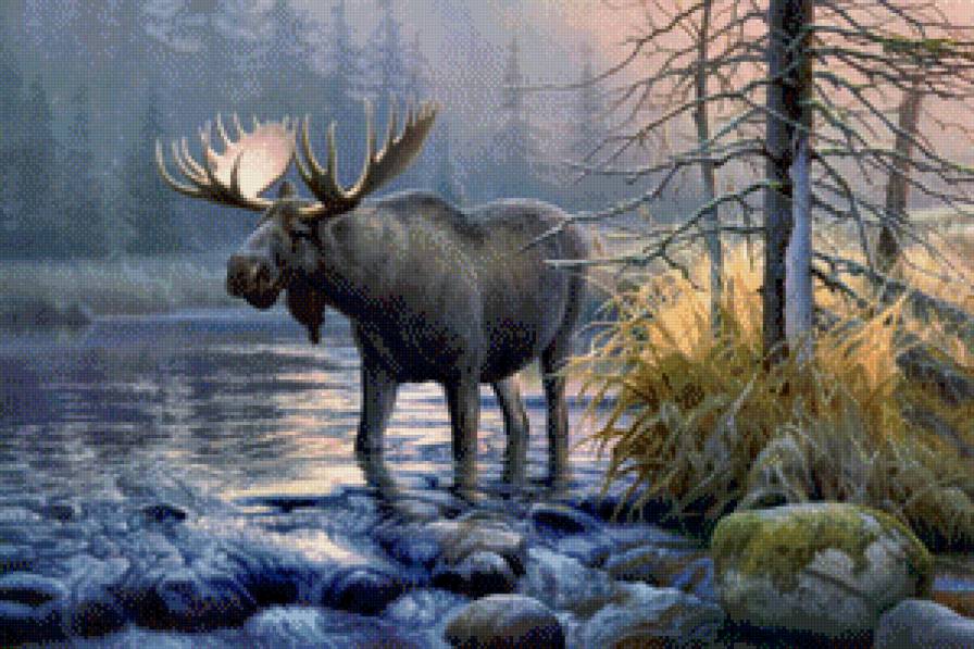 Лось - природа, животные, лось - предпросмотр