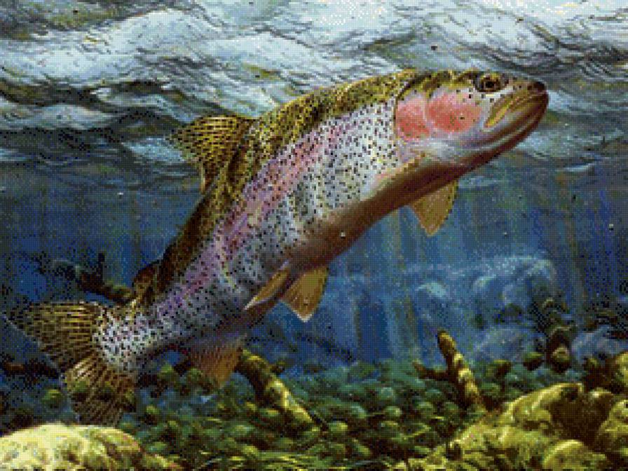 Рыба - рыба, море - предпросмотр