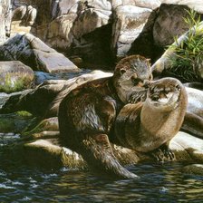 Схема вышивки «Выдры»