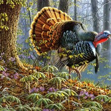 Схема вышивки «Индюк»