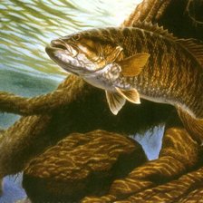 Большая рыба