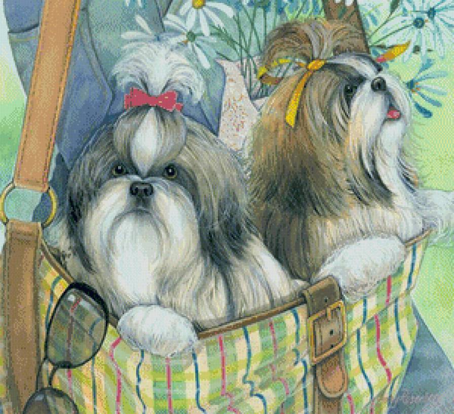 домашние любимцы - предпросмотр