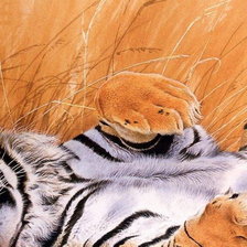 Лень матушка