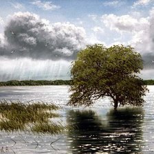 Схема вышивки «"Deszcz"»