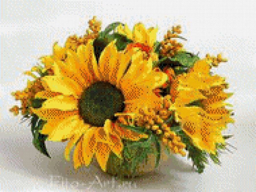 Оранжевое чудо - предпросмотр