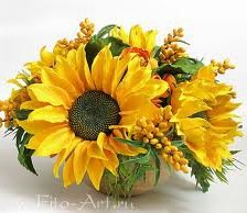 Оранжевое чудо