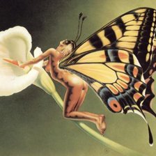 Схема вышивки «Женщина- бабочка»