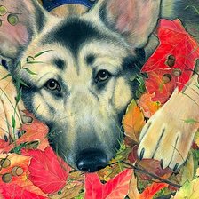 Схема вышивки «Верный»