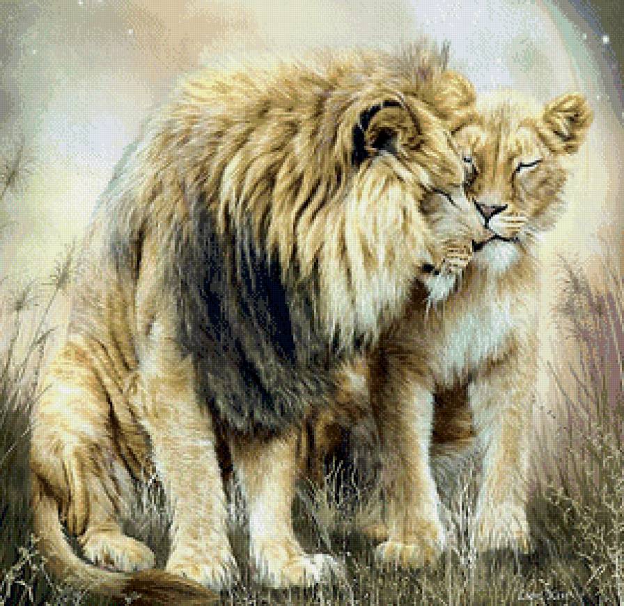 Lions kiss - животные, львы, семья - предпросмотр