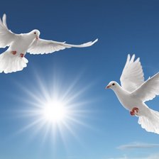 Схема вышивки «во имя МИРА!»