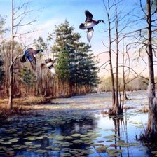 Схема вышивки «полет уток»