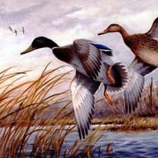 Схема вышивки «полет уток»