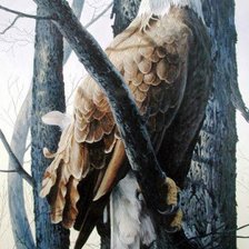 Схема вышивки «орел»