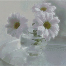 Схема вышивки «Нежные ромашки»