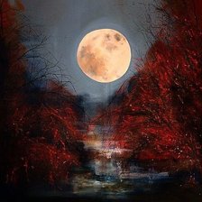 Justyna Kopania-Ksiezyc