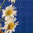 Предпросмотр схемы вышивки «Натюрморт с ромашкой» (№549914)