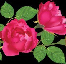 Схема вышивки «№550080»