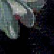 Предпросмотр схемы вышивки «Черный кот» (№550105)