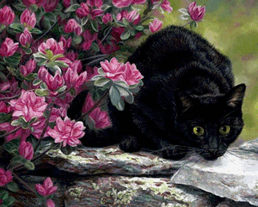 Черный кот - животные, кошки, цветы - предпросмотр