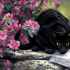 Схема вышивки «Черный кот»